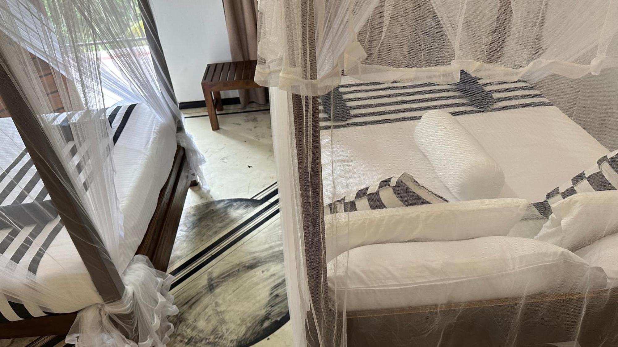 Forest Rawana Homestay Ella Rum bild